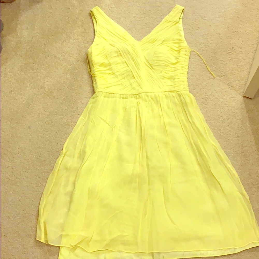 Danna Morgan 100 % silk dress